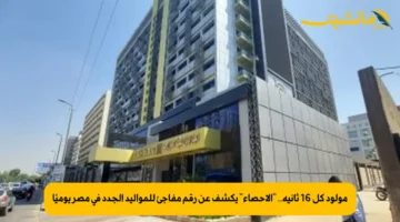 مولود كل 16 ثانية.. “الإحصاء” يكشف عن رقم مفاجئ للمواليد الجدد في مصر يوميًا